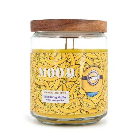 Fragrence'n Style - Minions Ilmkerti 510g Mood