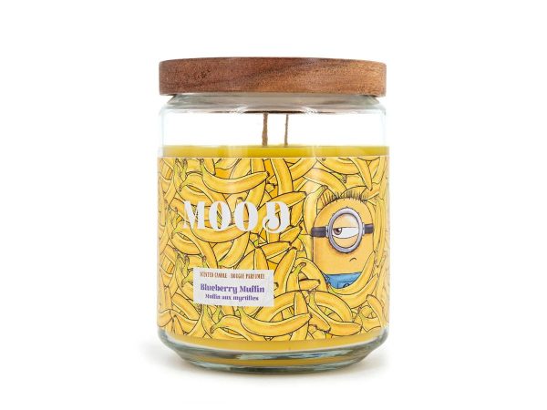 Fragrence'n Style – Minions Ilmkerti 510g Mood
