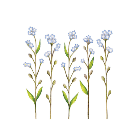 Hekla - Kort 11,5cm Gleym Mér Ei