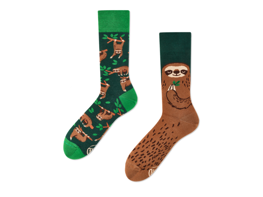 Many Mornings Sloth Life 35-38