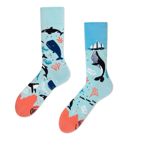 Many Mornings Ocean Life 35-38
